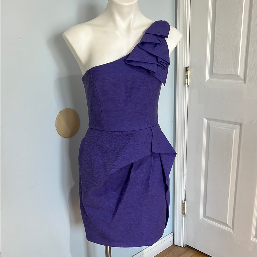 Elegant Purple One-Shoulder Dress
